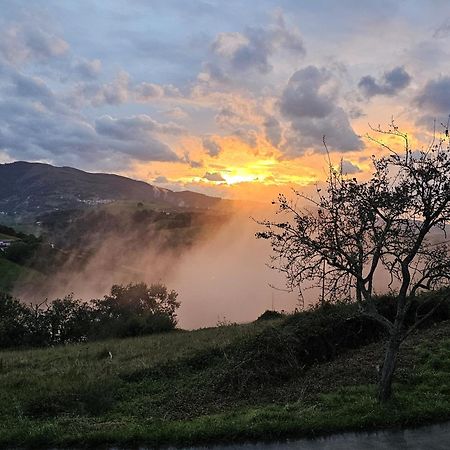 Arbela Apartamentuak Aia Esterno foto