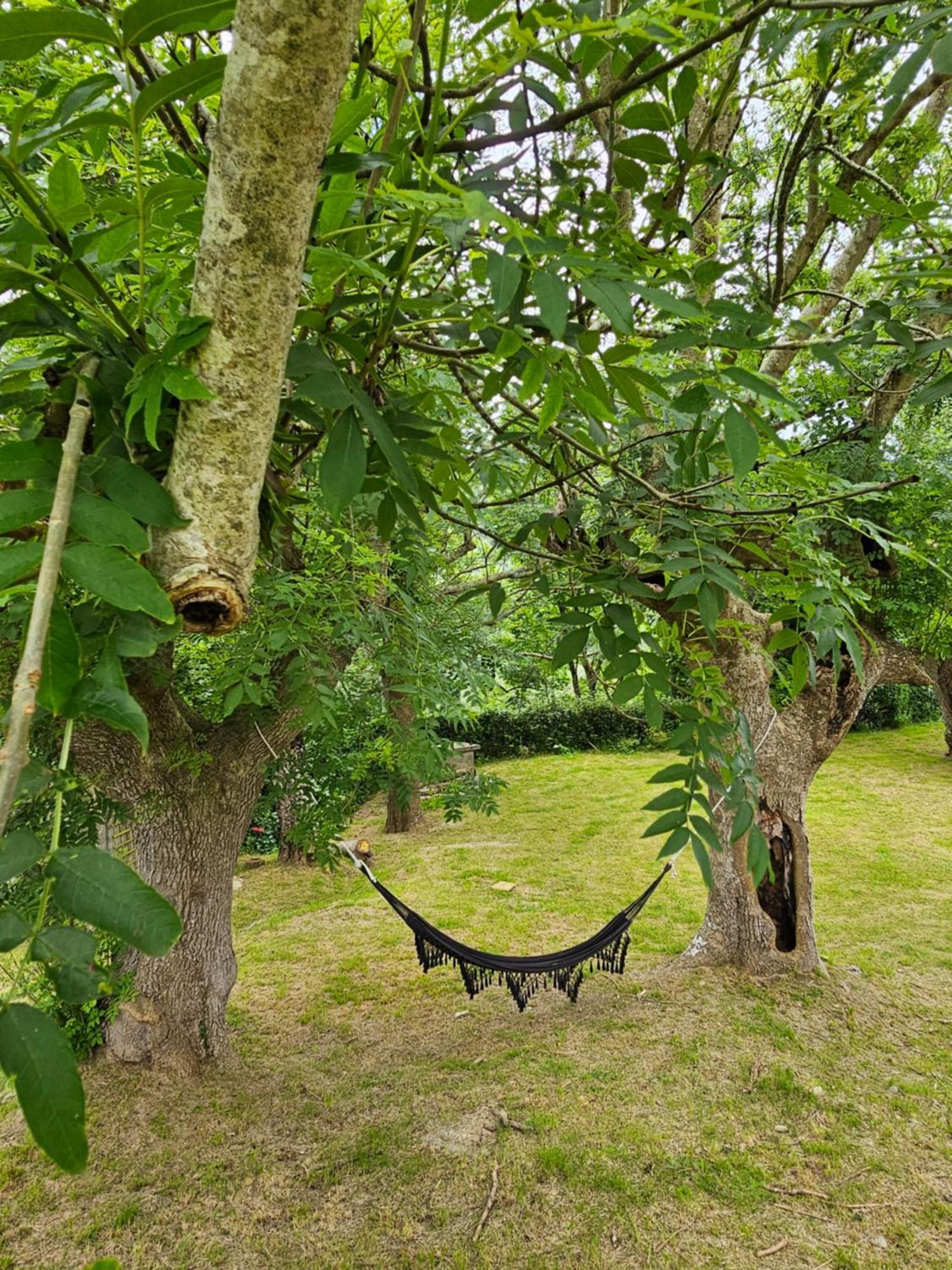 Arbela Apartamentuak Aia Esterno foto