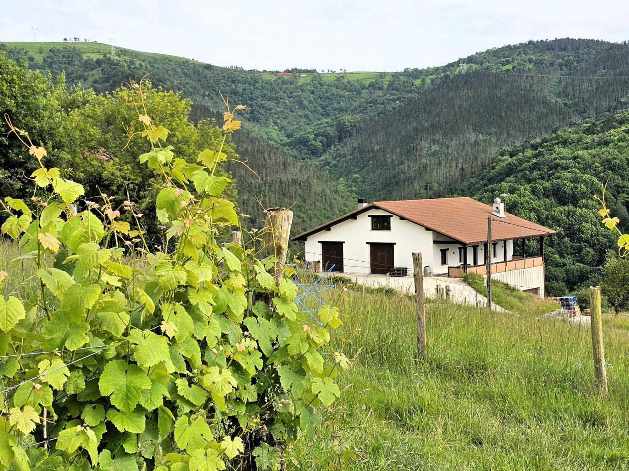 Arbela Apartamentuak Aia Esterno foto